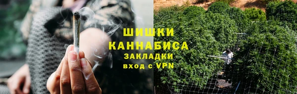 ГАЛЛЮЦИНОГЕННЫЕ ГРИБЫ Корсаков